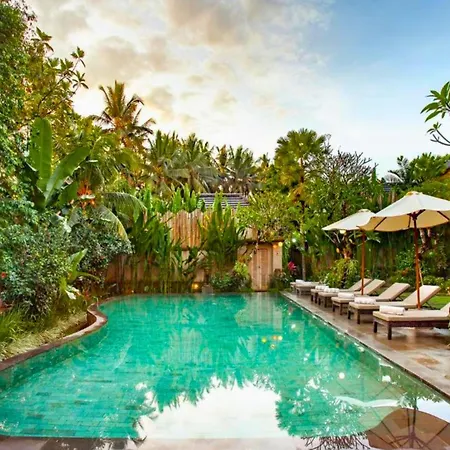 Zyandru 1 Bedroom Deluxe Garden View Zn175